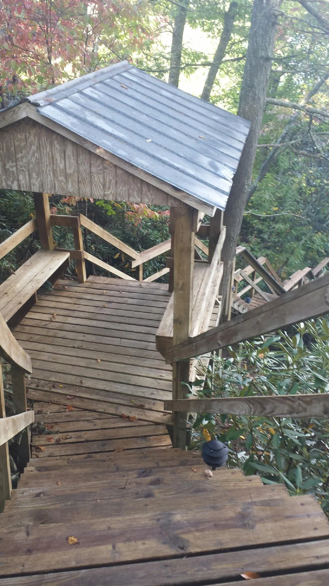 Metal roofed shelter over wooden steps on a wooded walkway — Skylight Repair & Installation work by our crew in Holly Bluff